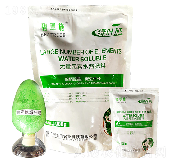 �̴�ʩ���G�~�� ���(gu��)�r(n��ng)�I(y��)