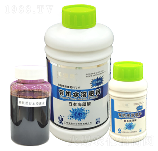 Ӣ��˼���ձ������� ����r�I(y��)