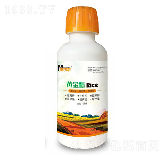 �S��-�����S-���Π�