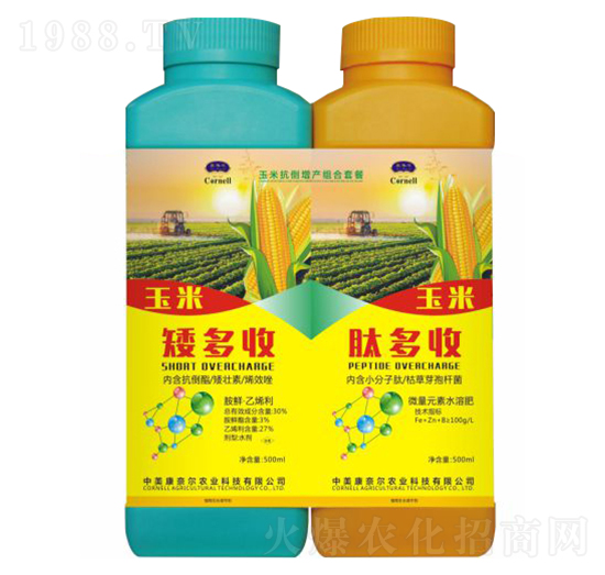 ���׿������a�ײ�-�����S-���Π�