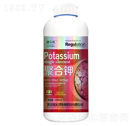 �ۺ�� ����(l��)��