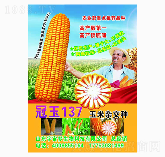 �����s���N ����137 ���������