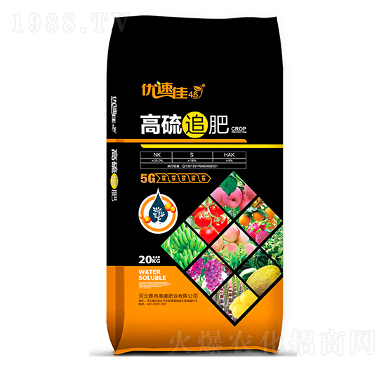 ����׷�� ��(y��u)�ټѣ��ڴ��� ��Ƚ��ʢ