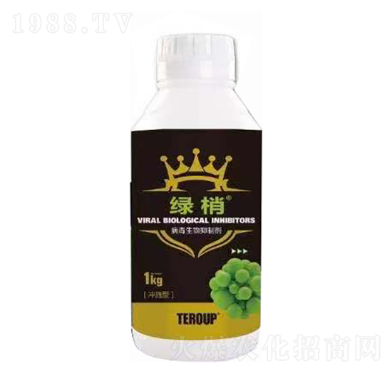 �����������Ƅ� �G�қ_ʩ�� ������