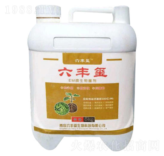 EM΢�������-���S�t