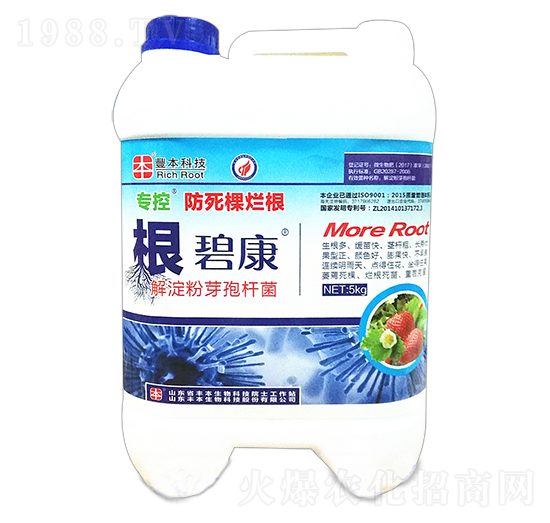 ���à�������-���̿�-����r��