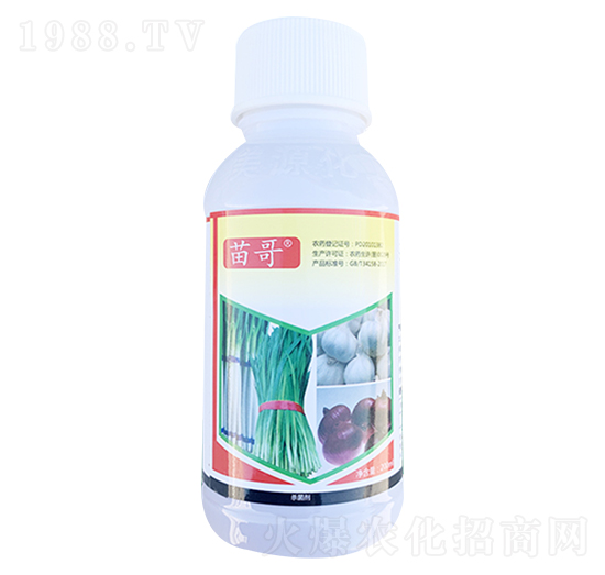 �²��[�⚢����-����r��