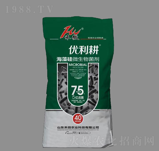 5�|��������΢�������-��(y��u)����-��΢