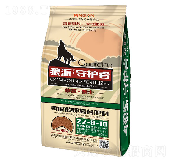 �S����⛏ͺϷ���22-8-10-���o��-����