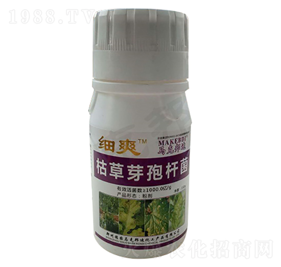 ƿ�b�ݲ�ѿ�ߗU��-��(x��)ˬ-�R�˰��