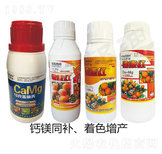 �����t-�R�˰��