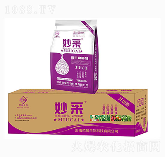 ΢�������-���-�ŵ�����