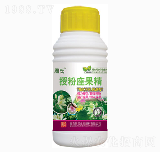 �ڷ�������-�����r(n��ng)��