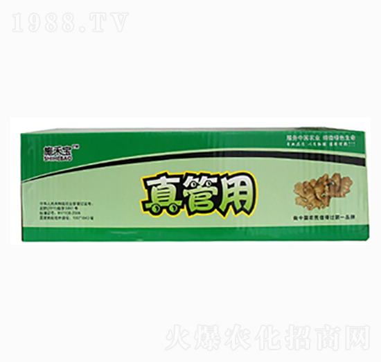 ����ã��䣩-ʩ�̌�