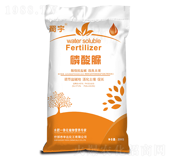 ������ ���� ���_(d��)����