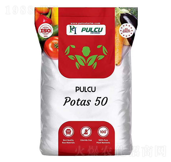 Potas50 PULCU 貝特普蘭