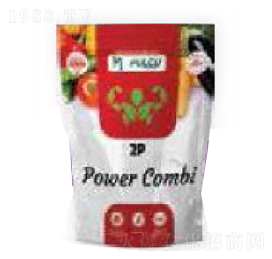 2P�Դ�M�� ؐ�����m