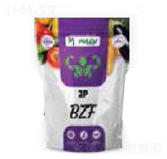 2p bzf ؐ�����m