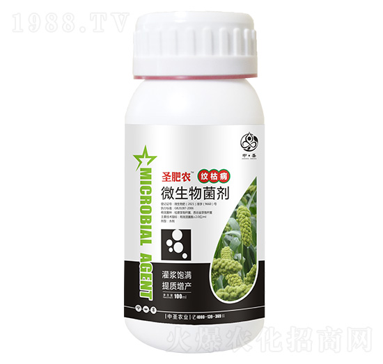 ƿ�b�y�ݲ�����΢�������-ʥ���r-��ʥ�r�I(y��)