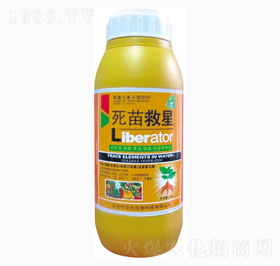 �������-�A������