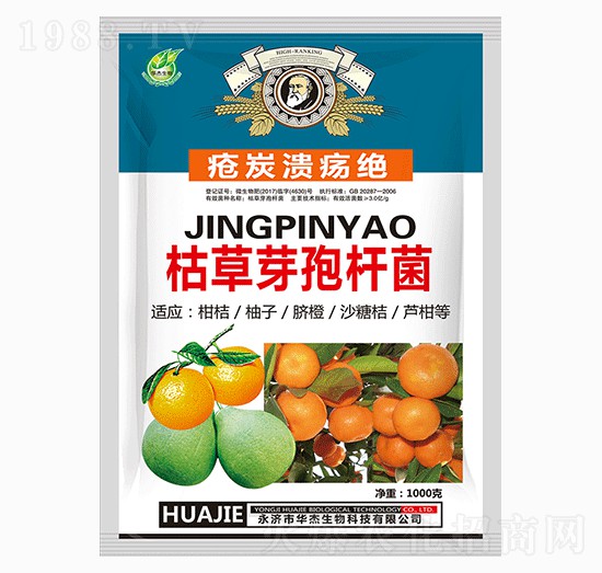 �ݲ�ѿ�ߗU��-��̿�����^-�A������