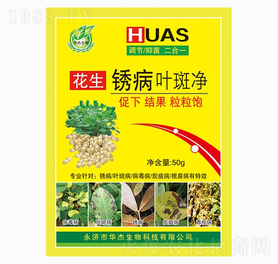 �����P���~�߃�-�A������