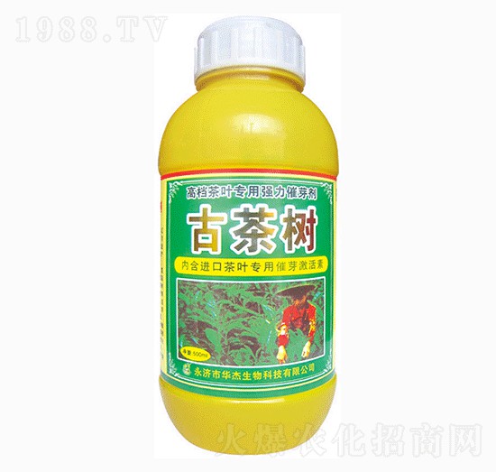 �Ų��-�A������