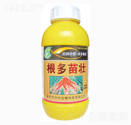 �������-�A������