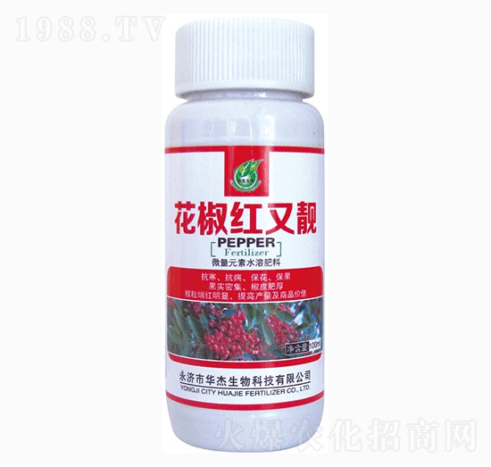 �����t���n-�A������