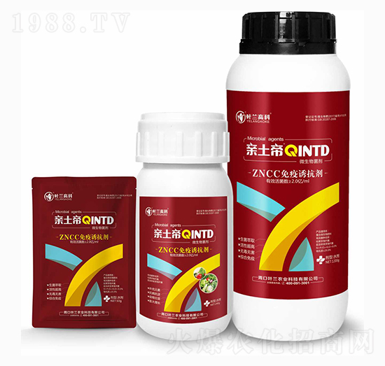 �����T����-�H����-�~�m�߿�