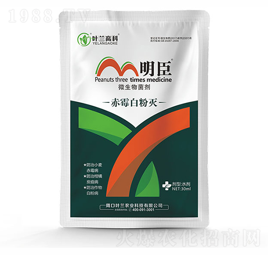 ��ù�׷ۜ�-����-�~�m�߿�