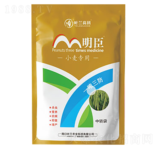 С�������ײ�-����-�~�m�߿�