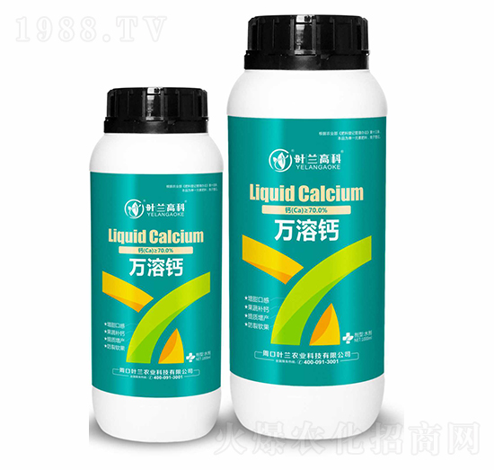 �f(w��n)���}-�~�m�߿�