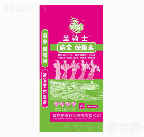 ̼��������-ʥ�Tʿ-���u�Z��