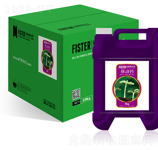 �Ƅ��}���Ǵ��{�}��-��˹��