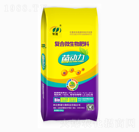 ��(f��)��΢�������-����(d��ng)��-�ǵ�