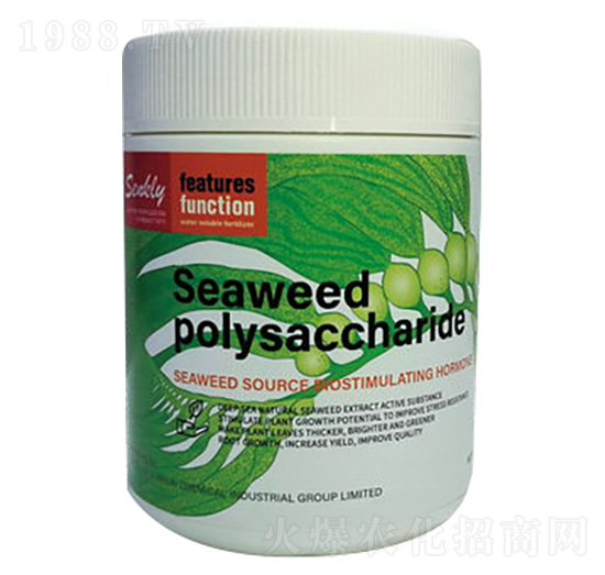 �G�����-���a��