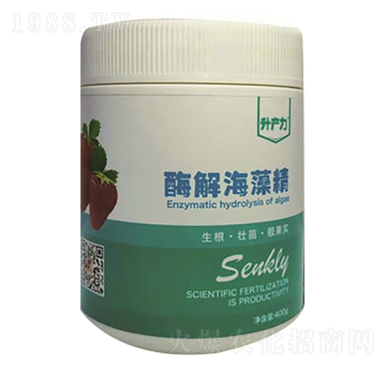 ��ݮ����-ø�⺣�徫-���a(ch��n)��