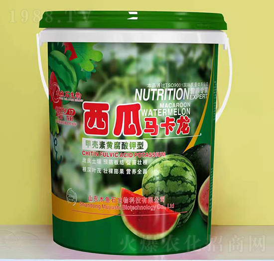 �ך����S�������-�����R����-ľ�~(y��)ʯ����