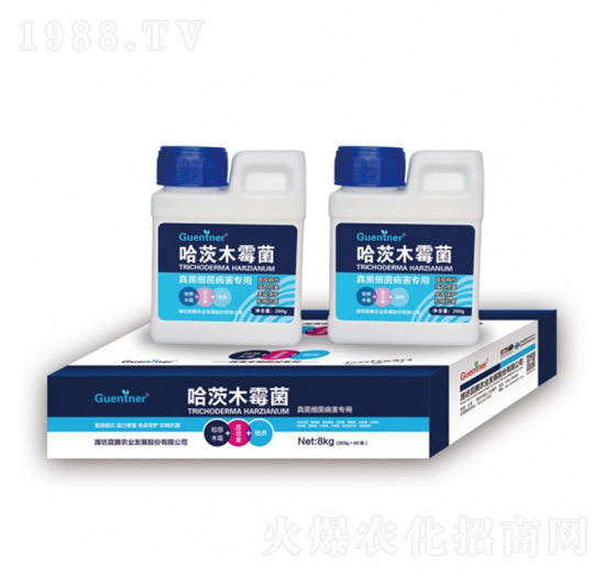 ��������������ù���ľù��-���v�r(n��ng)�I(y��)