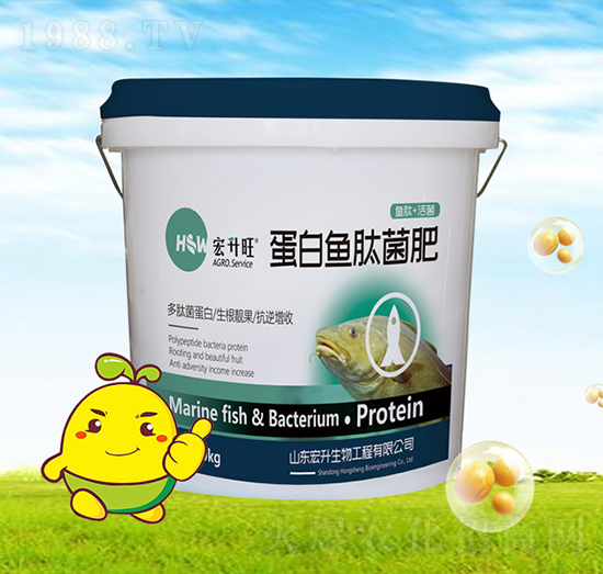 �����~�ľ���-��������