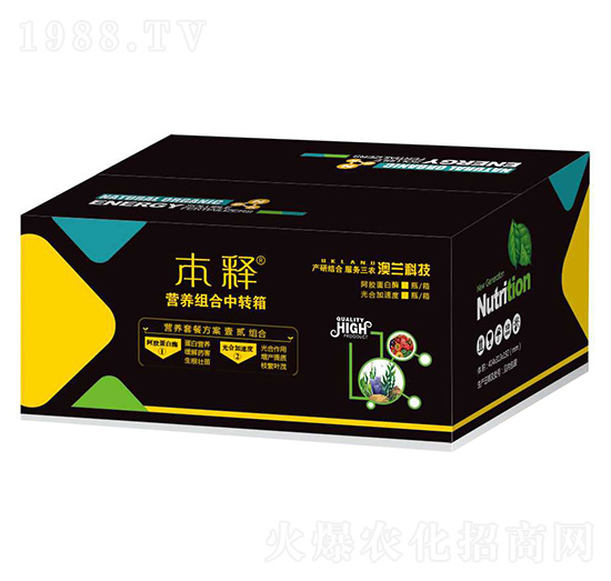 �I�B(y��ng)�ײͷ���-���-���m����