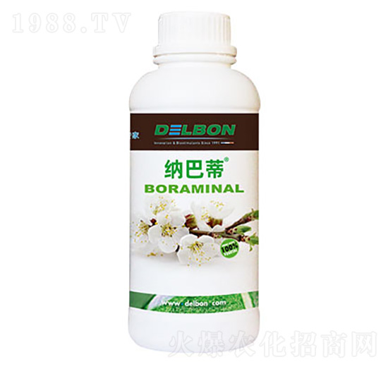 ���-�{�͵�-�f��