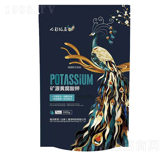 �VԴ�S�����-�߲ʿ�ȸ-���R��