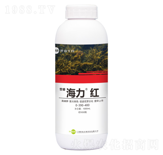 �~���-�������t-�������