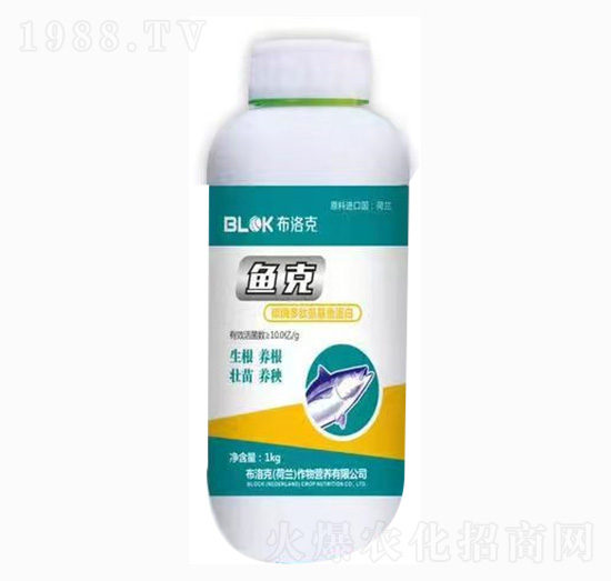 ̼ø���İ����~(y��)����-�~(y��)��-�����