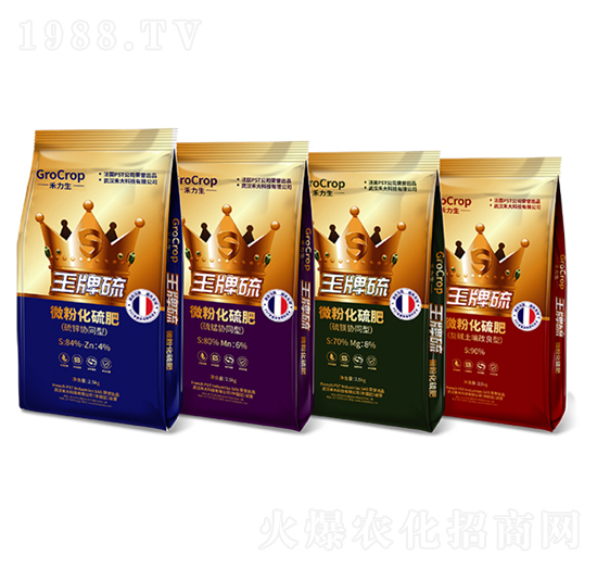 ΢�ۻ����-����Ƽ�