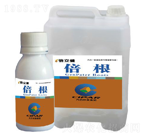 ����-������-�����r�I(y��)