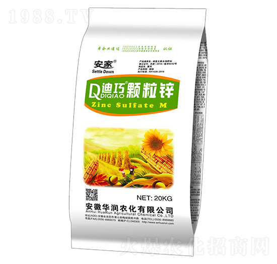 �����w���\-�A���r��