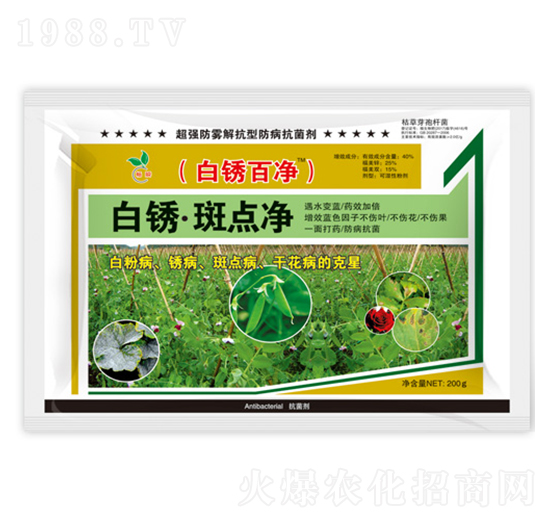 ���P�����c(di��n)��-���P�ك�-��˲